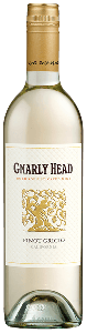 Gnarly Head Pinot Grigio
