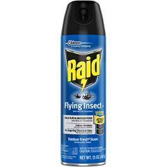 Raid Flying Insect Spray 