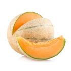 Cantaloupe