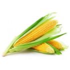 Corn