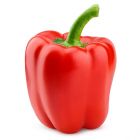 Red Pepper