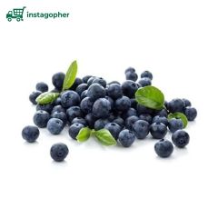 Blueberries 6 oz